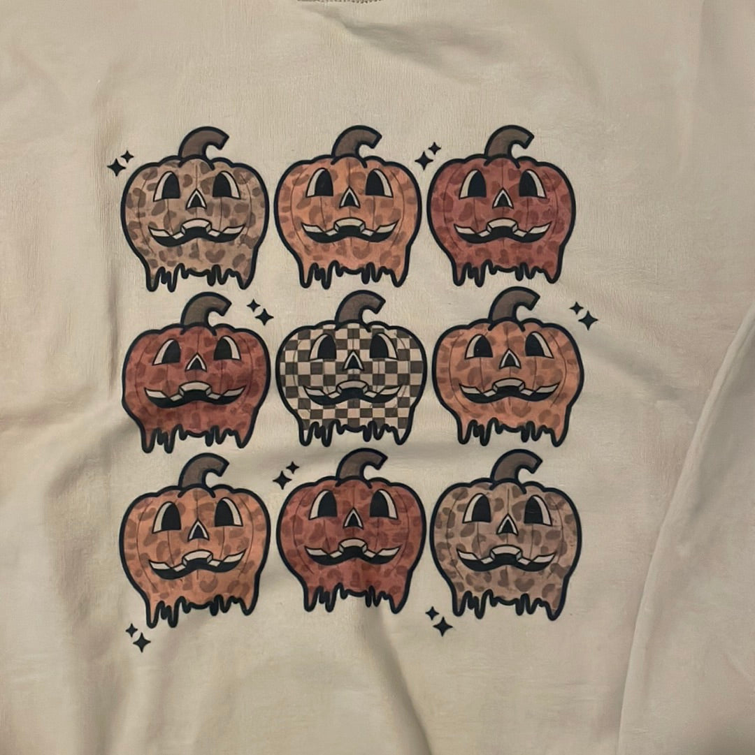 Pumpkin Crew Neck Sweatshirt